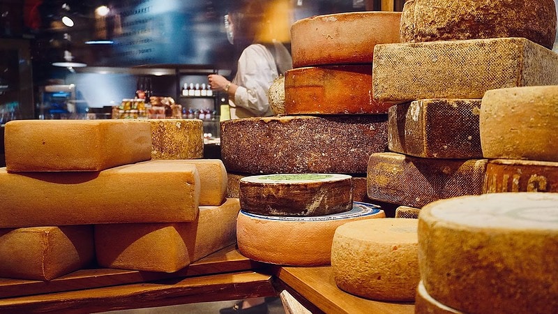 viele Laib Käse beim Kurs Käse selber machen in Dresden