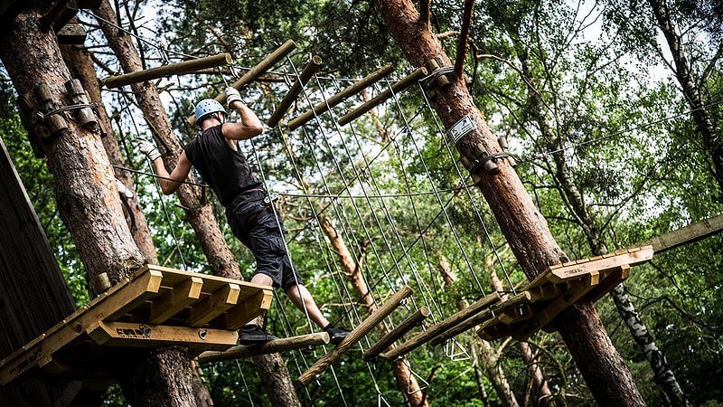 Mann in den Bäumen im Abenteuer Kletterwald bei Potsdam