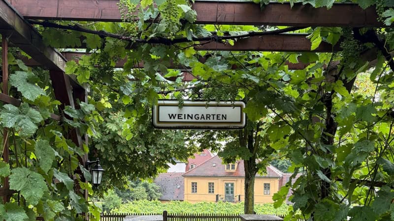 Ansicht des Ausgangs vom Weingarten