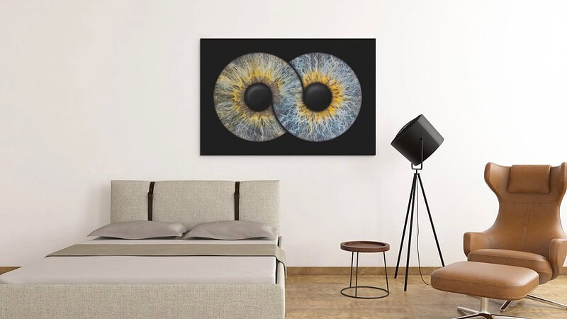 Eine Vorschau wie sich 2 Iriden auf einem Bild an der Wand präsentieren