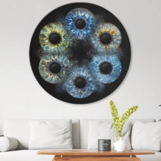 5 miteinander kollidierende Iriden wurden auf einer dunklen Leinwand verewigt, das Bild hängt an der Wand in einem Raum