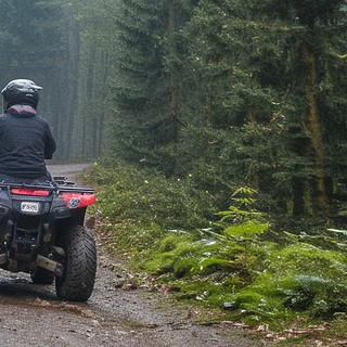Ein Quad-Fahrer fährt im Breisgau einen Hügel im Wald hoch