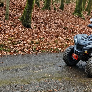 Ein Quad-Fahrer fährt eine Offroad Straße im Breisgau entlang