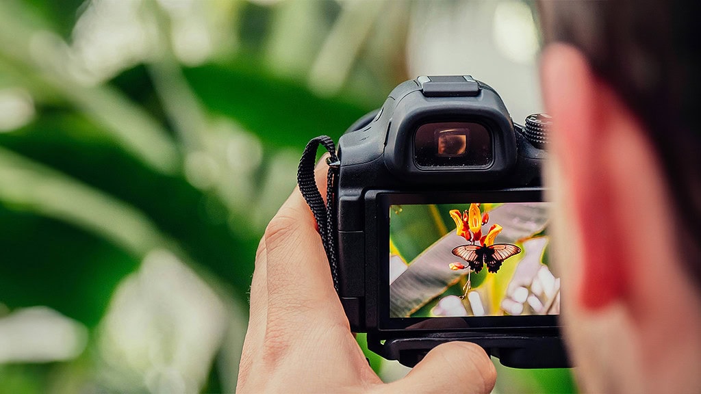 Fotokurs-Tagesworkshop