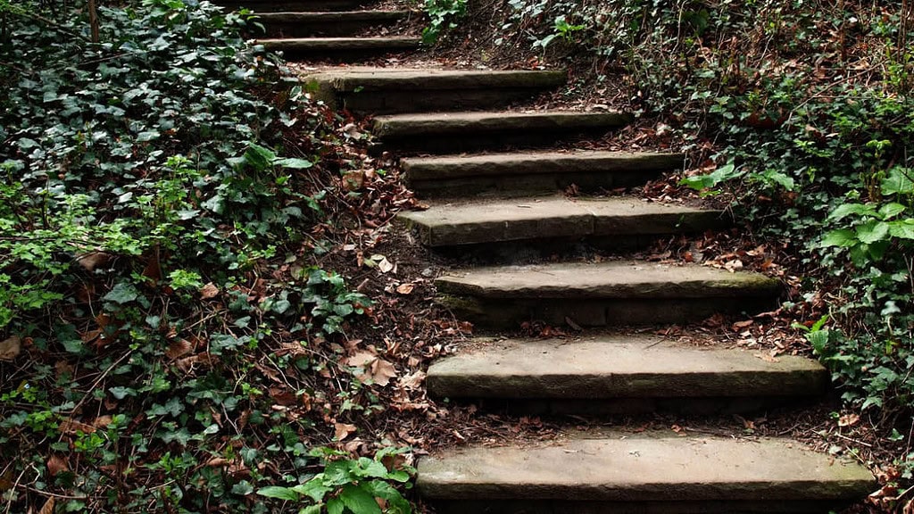 Münster-Altstadt-Treppe zwischen Efeu Eine Treppe, die ringsum mit Efeu bewachsen ist