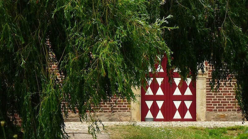 Hinter großem Blätterwerk erscheint ein altes Bauernhaus