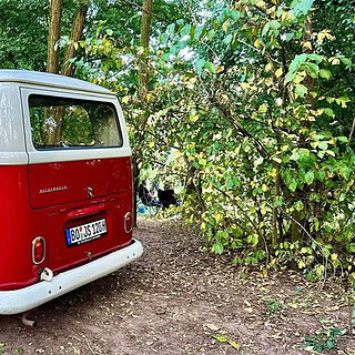 roter vw Bulli von schräg hinten fotografiert