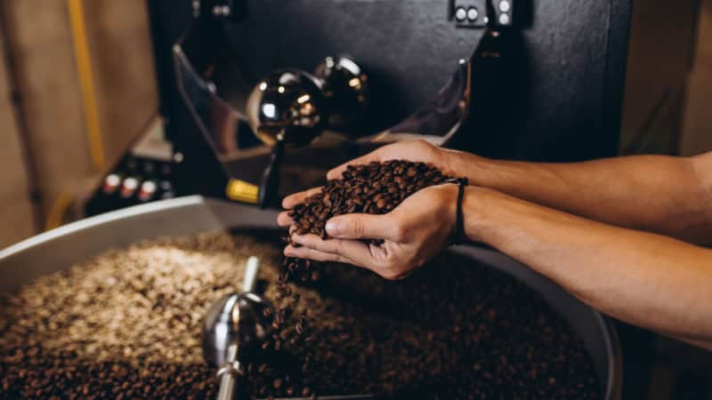 Person hält frisch geröstete Kaffeebohnen über einer Trommel in einer Rösterei.