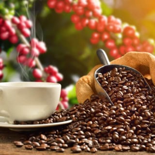 Kaffeetasse mit dampfendem Kaffee neben einem Jutesack voller Kaffeebohnen, im Hintergrund Kaffeepflanzen mit roten Kirschen.