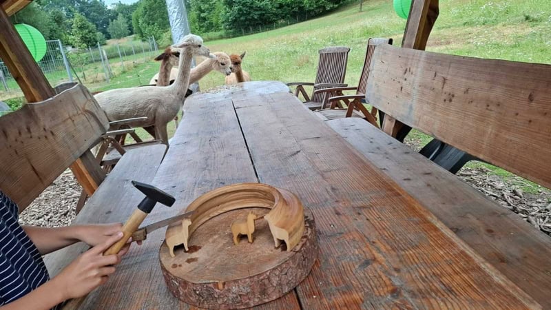 Auf einem Tisch wird mit einen Hammer und einem Messer ein Alpaka abgespalten von Holz.