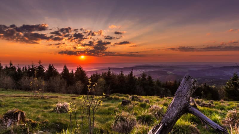 Landschaft mit Sonnenuntergang und Wald im Hintergrund