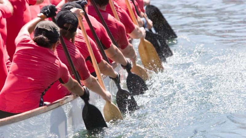 Eine Nahaufnahme von Drachenbootfahrern die gleichzeitig Paddeln.