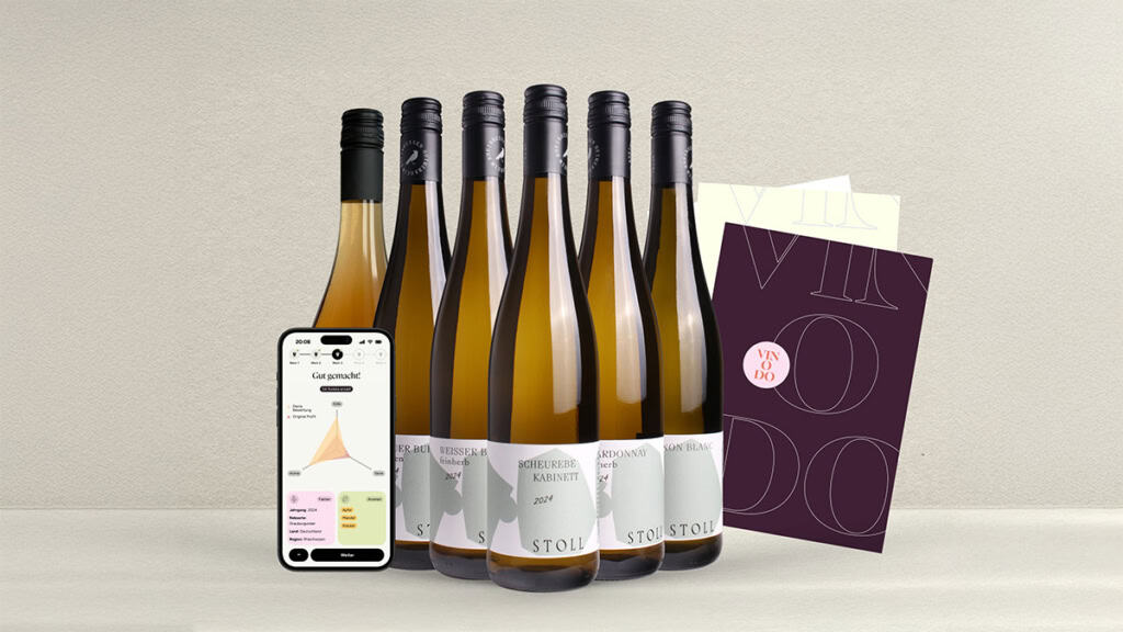 weinprobe-fuer-zuhause-wein-mit-app Sechs verschiede Weinflaschen mit App und Infoblatt - Weinprobe.