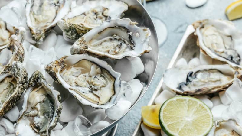 Zwei Teller mit Austern und Zitronen, servierfertig bei einem Kochkurs.