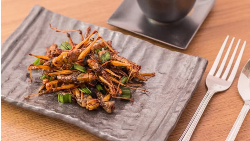 Gebratene Grillen liegen als Haufen auf einem Teller.