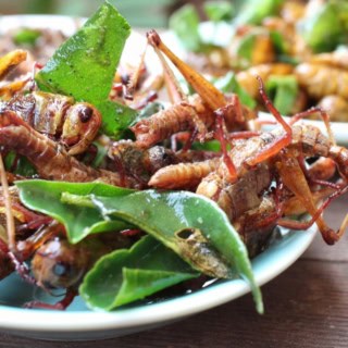 Gebratene Heuschrecken liegen mit Blättern auf einem Teller.