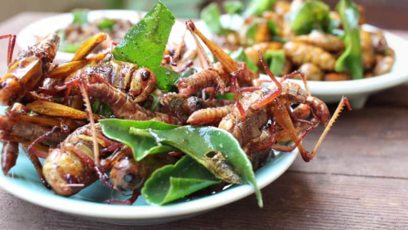 Gebratene Heuschrecken liegen mit Blättern auf einem Teller.