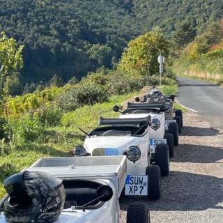 Mehrere Hot Rods stehen am Straßenrand. Im Hintergrund ist der Pfälzer Wald zu sehen.