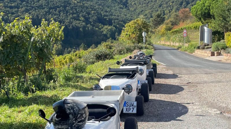 Mehrere Hot Rods stehen am Straßenrand. Im Hintergrund ist der Pfälzer Wald zu sehen.