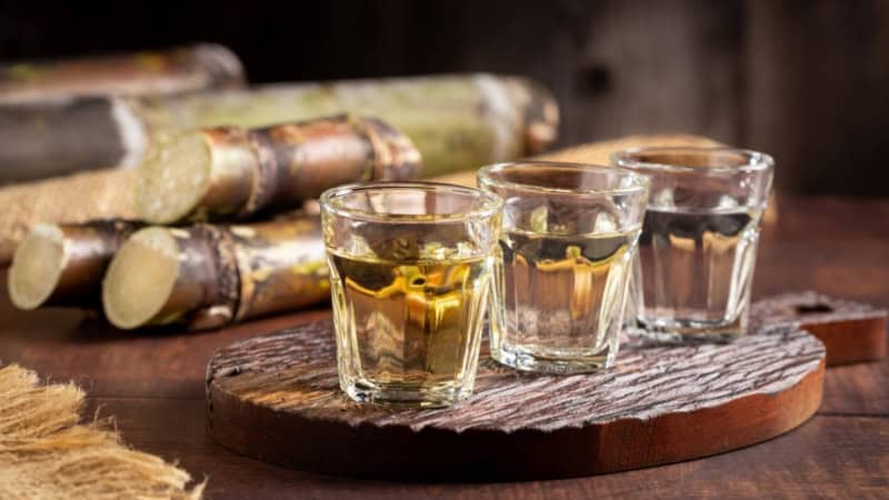 Drei mit Chachaca gefüllte Shotgläser stehen auf einem Brett aufgereiht auf einem Tisch. Im Hintergrund liegt Zuckerrohr auf dem Tisch.