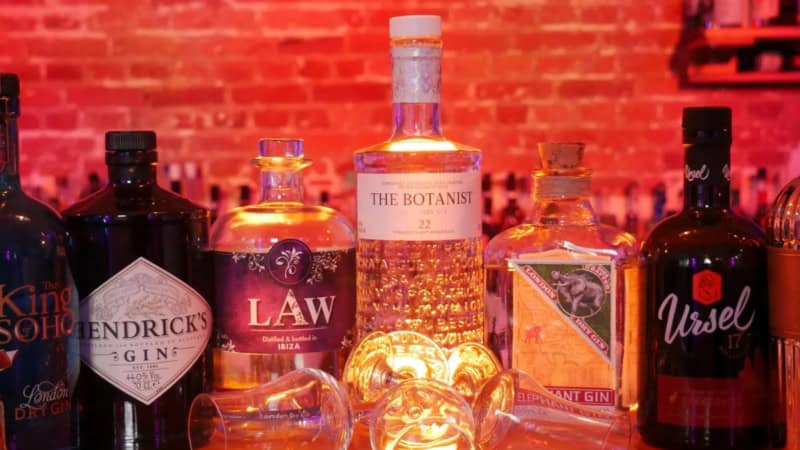 Mehrere Gin-Flaschen stehen aufgereiht auf einem bunt beleuchteten Bartresen.