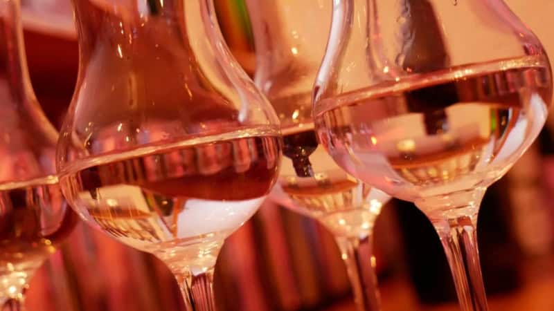 Nahaufnahme von gefüllten Gläsern mit Alkohol.