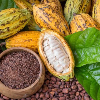 Ein Haufen Kakao Pflanzen die auf getrocknetem Kakao liegen