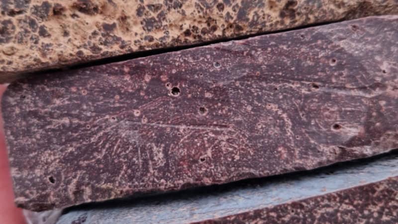 Getrocknete Kakao Bohnen die aufgeschnitten wurden von innen.