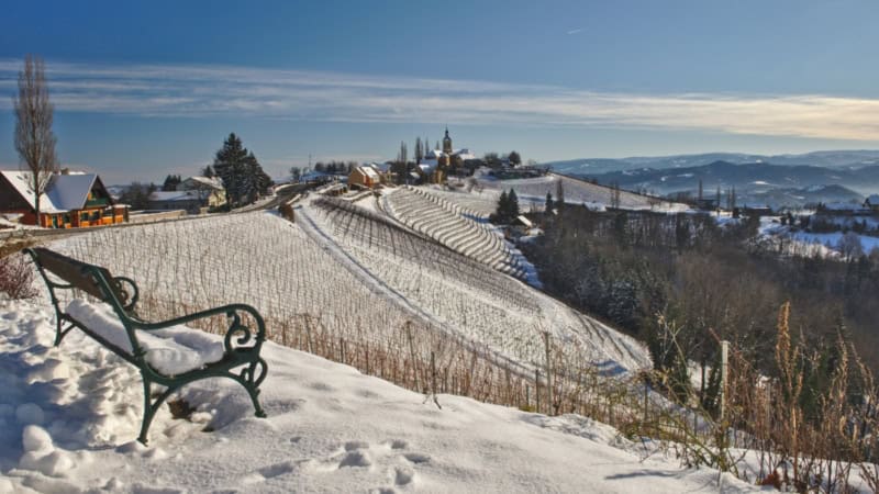 Eine Sitzbank inmitten von schneebedeckten Weinbergen