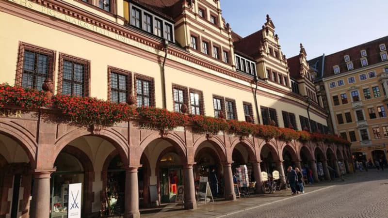 Aussicht auf ein Historisches Gebäude bei der Rundfahrt mit der e-Kutsche.