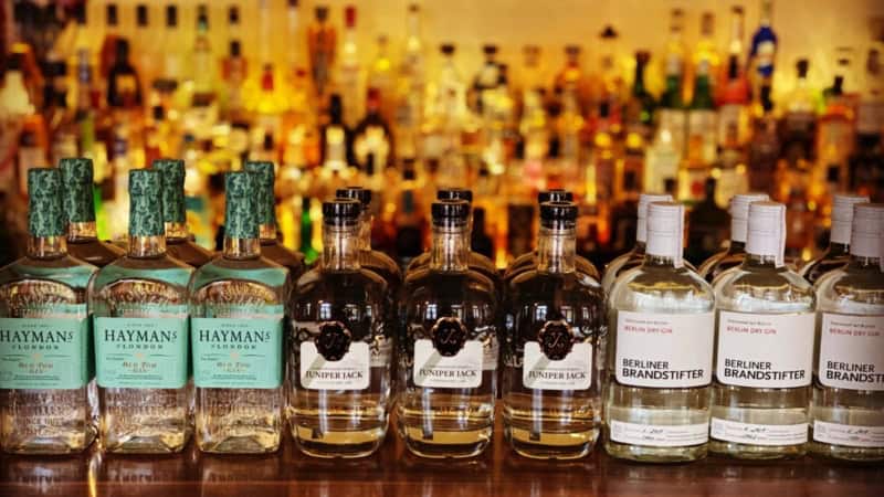 Drei verschiedene Ginsorten beim Gin Tasting in Dresden.