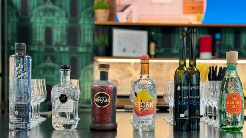 Sechs verschiedene Ginflaschen bei einem Gin Tasting in Dresden aufgereiht.