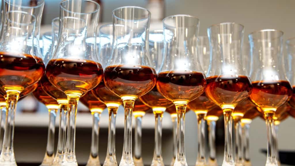 Rum Tasting-Verkostungsgläser Mehrere Verkostungsgläser mit braunem Rum bei einem Rum Tasting, bereit für die Verkostung.