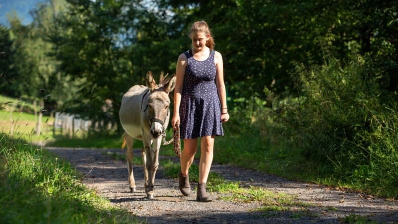 Eine Frau spaziert mit einem Esel einen Feldweg entlang.