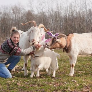 Eine Frau posiert mit vier Ziegen für ein Foto. Zwei der Ziegen tragen aufgesetzte Deko-Ohren.