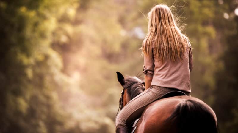 Ein Mädchen reitet auf einem braunen Pferd durch den Wald - Pferde Erlebnis im Osterzgebirge.