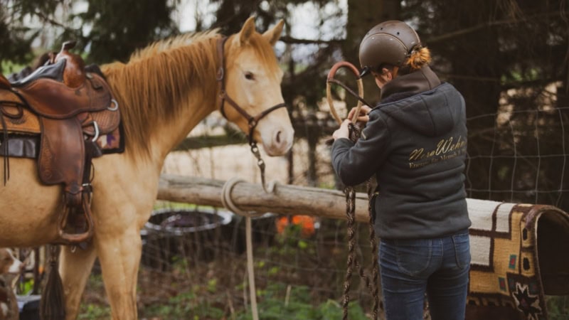 Die Reitlehrerin bereitet das Pferd für den Ausritt vor - Pferde Erlebnis im Osterzgebirge.