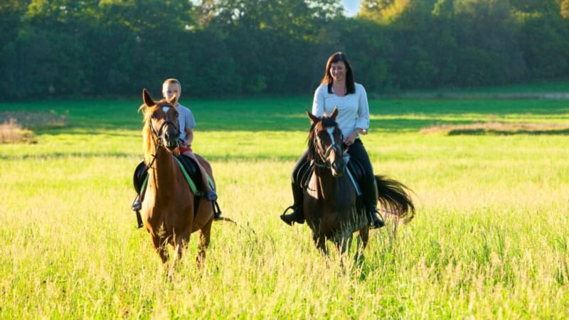 Eine Frau reitet gemeinsam mit einem Jungen durch ein Feld - Pferde Erlebnis im Osterzgebirge.