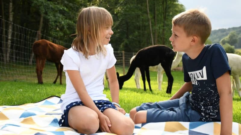 Zwei Kinder sitzen bei einem gemütlichen Picknick mitten auf der Alpakaweide umgeben von neugierigen Alpakas.