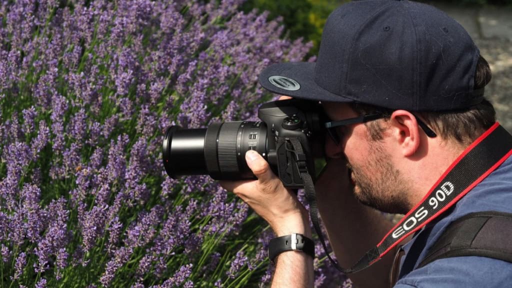 Fotokurs Tagesworkshop-Fotograf in der Natur Fotokurs Tagesworkshop – Fotograf in der Natur fotografiert blühenden Lavendel.