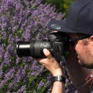 Fotokurs Tagesworkshop – Fotograf in der Natur fotografiert blühenden Lavendel.