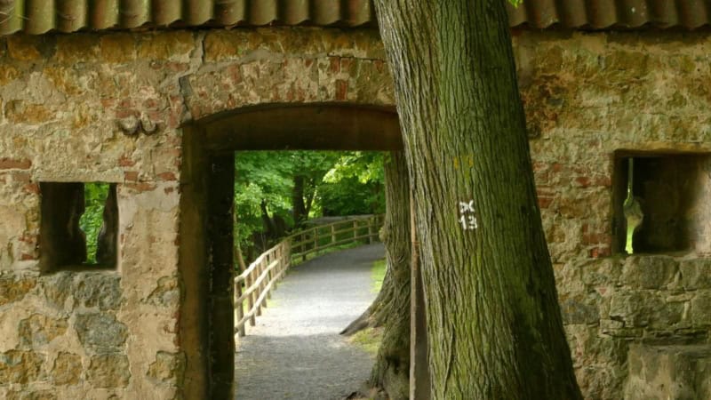 Fotokurs in Lüdinghausen-Burg Fotokurs in Lüdinghausen – historischer Torbogen der Burg mit Blick auf grüne Brücke.